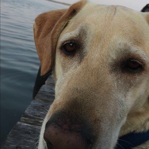 Meet your Posher, Abby